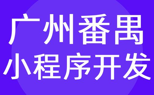 廣州番禺區(qū)系統(tǒng)開(kāi)發(fā) 微信小程序制作定制 外包 紅匣子科技