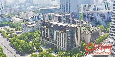 冠軍中國 青春接力 | 粵港澳大灣區與長三角 雙“翼”齊飛 積“勢”成力